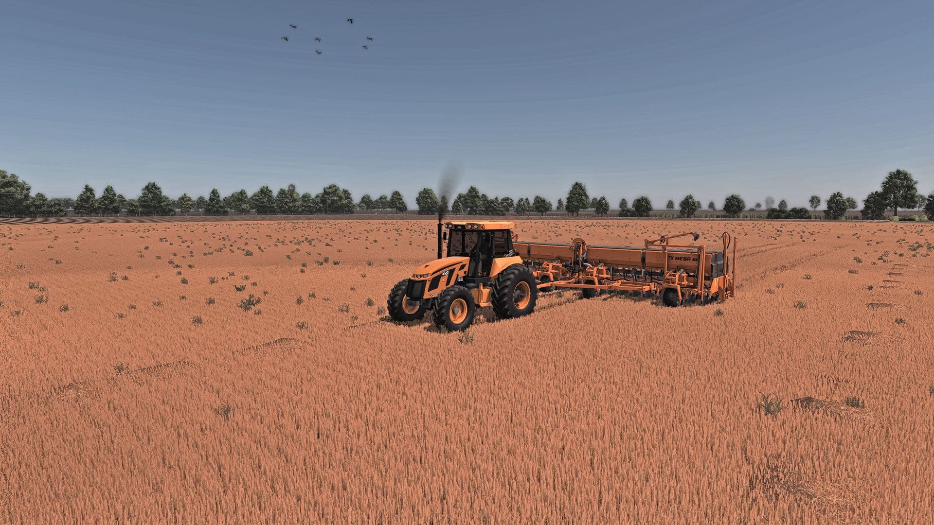 Horizonte Argentino RCS 5