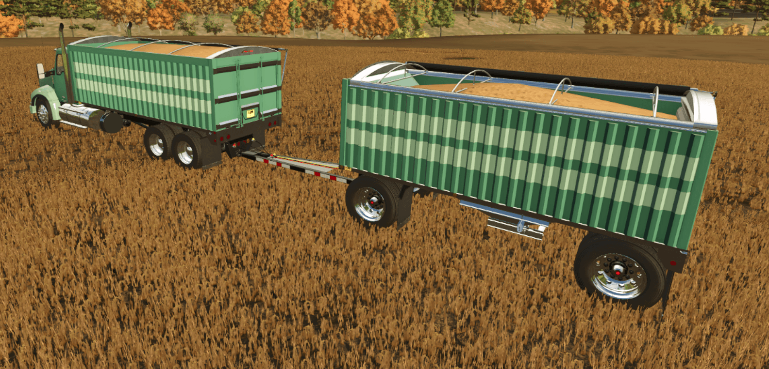 Kann Grain Pup 2