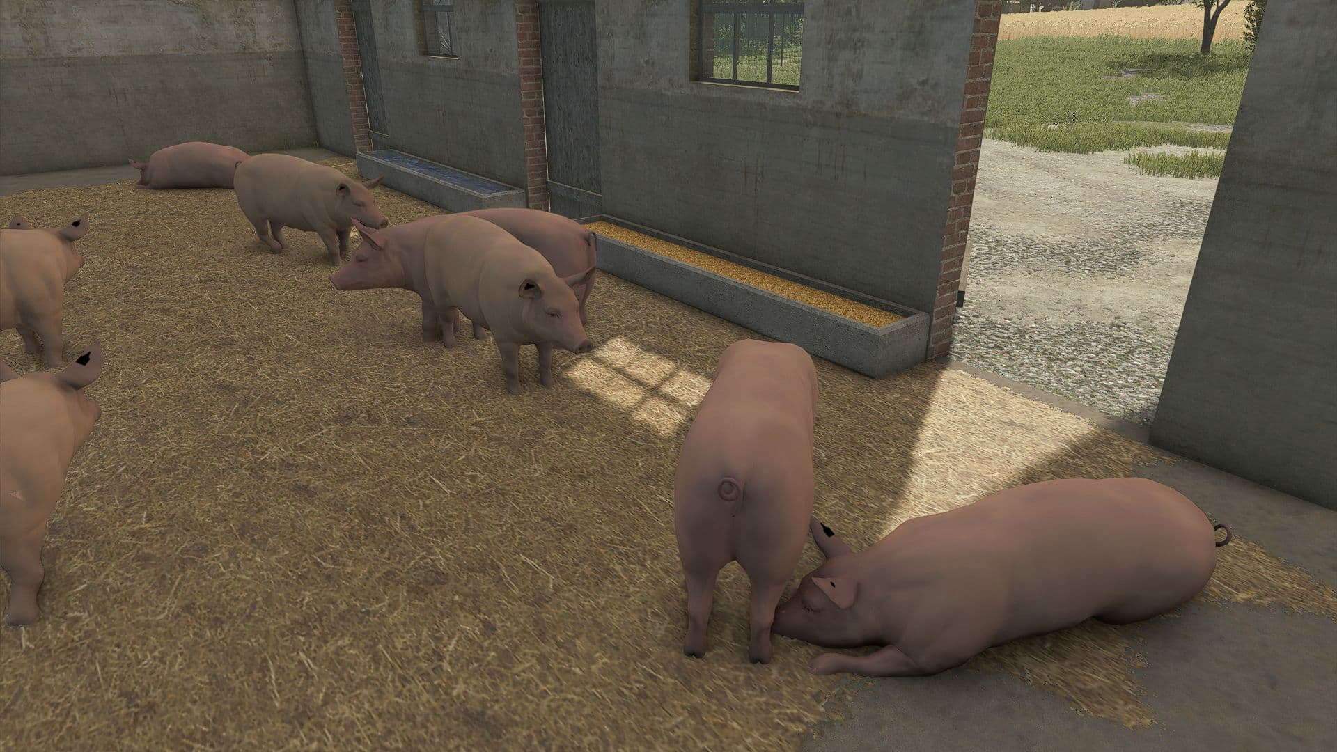 Little Pigsty 3