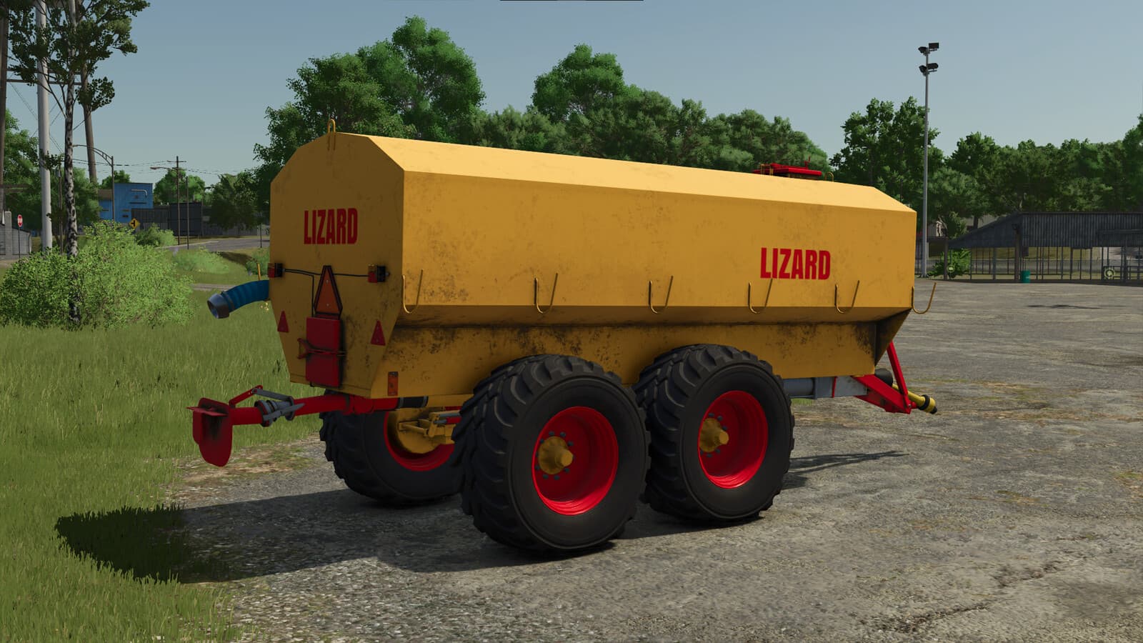 Lizard 12B3 2