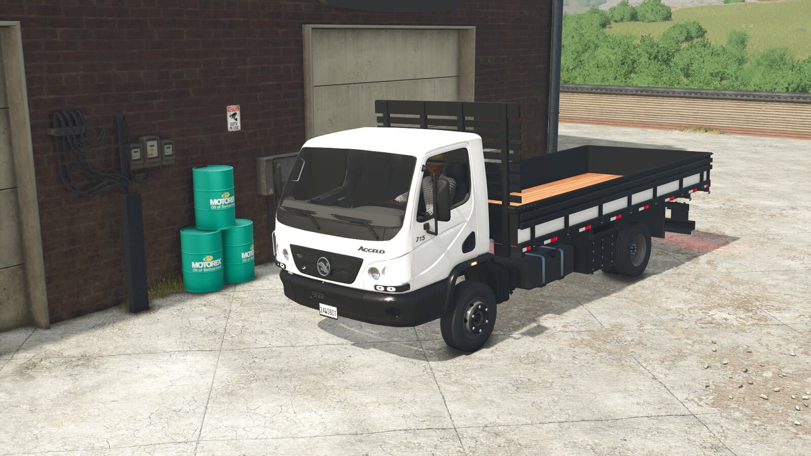 Lizard Accelo 2013 3