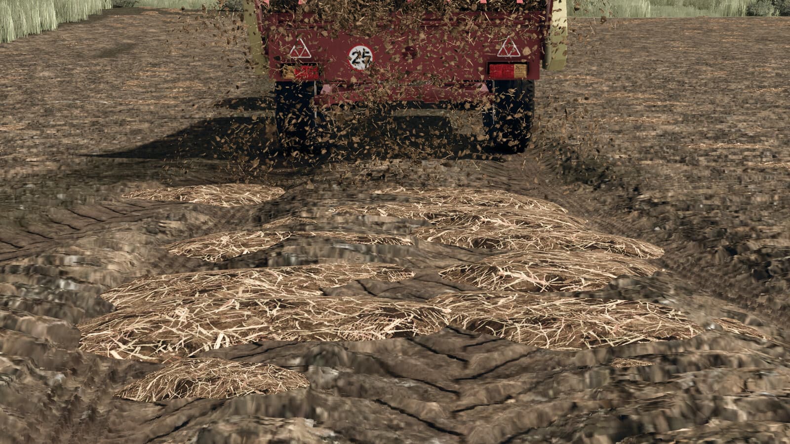 Manure Clumps 4