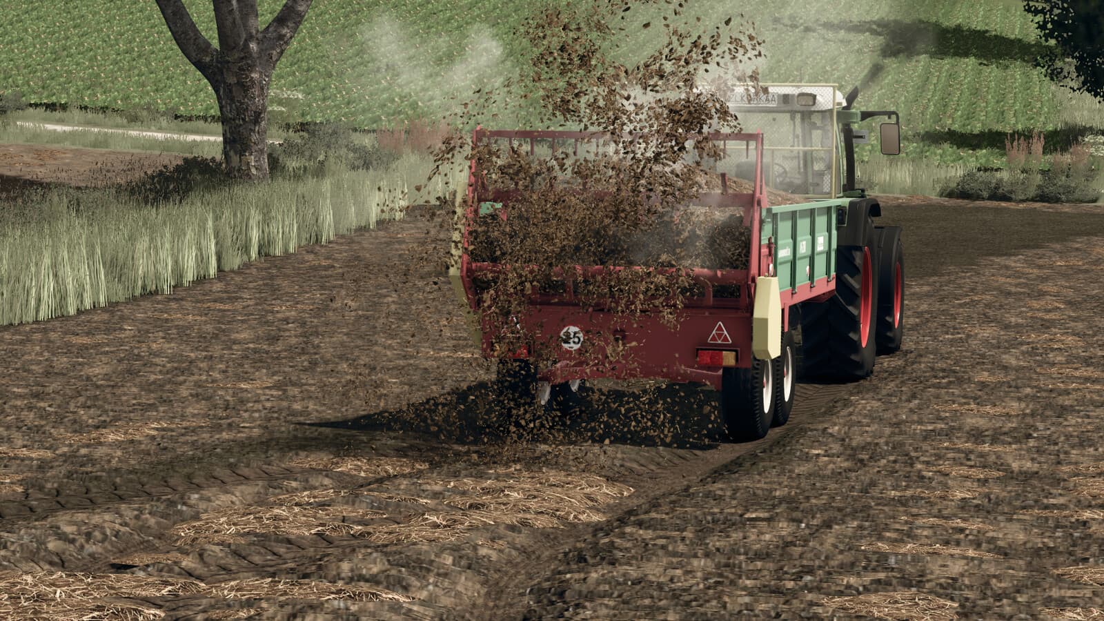 Manure Clumps