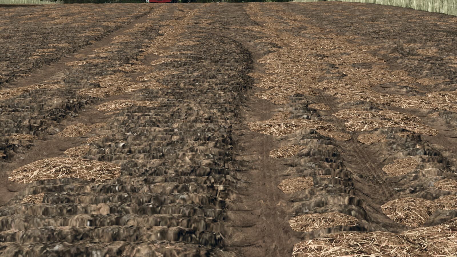 Manure Clumps 2