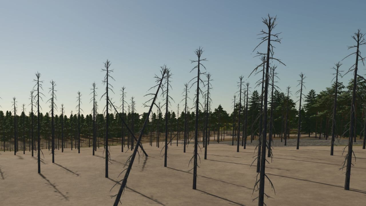 Melliläjärvi 5