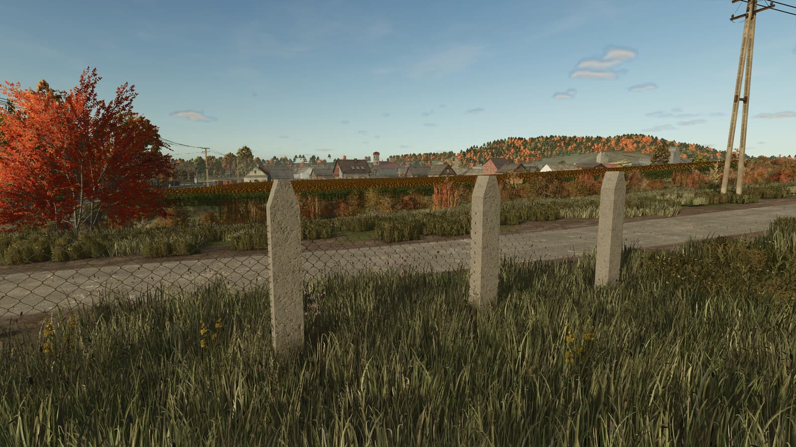 Old Concrete Fence 3