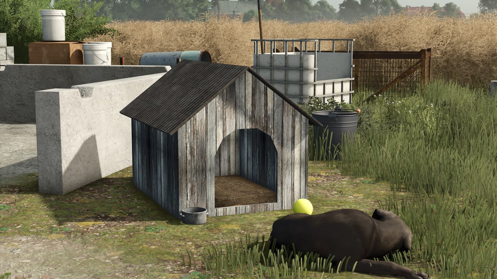 Pack Of Old Dog Houses 3