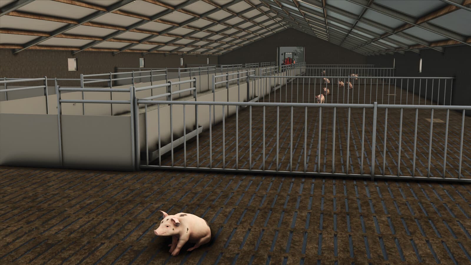 Pigshed 3