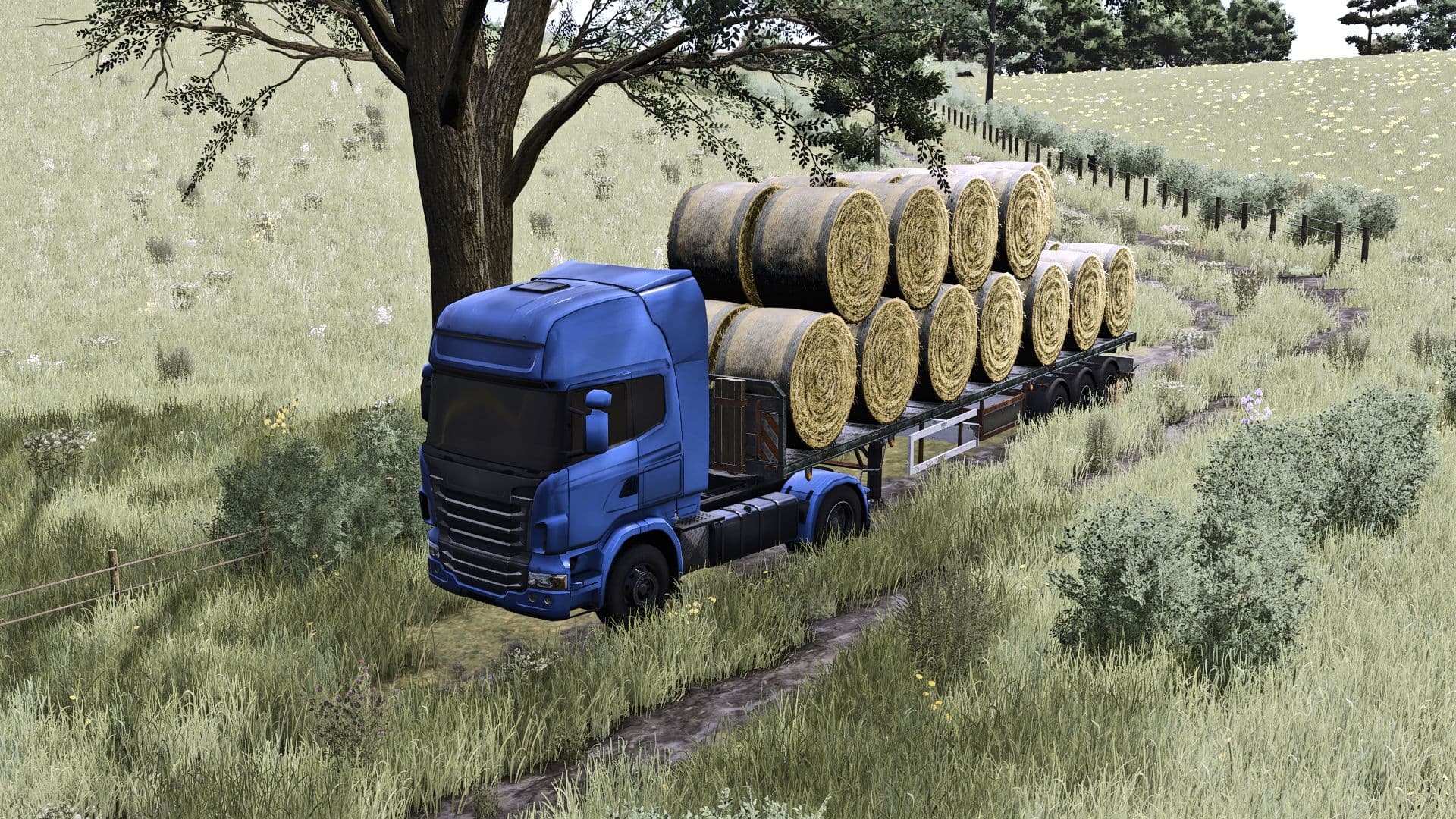 Placeable Vehicles
