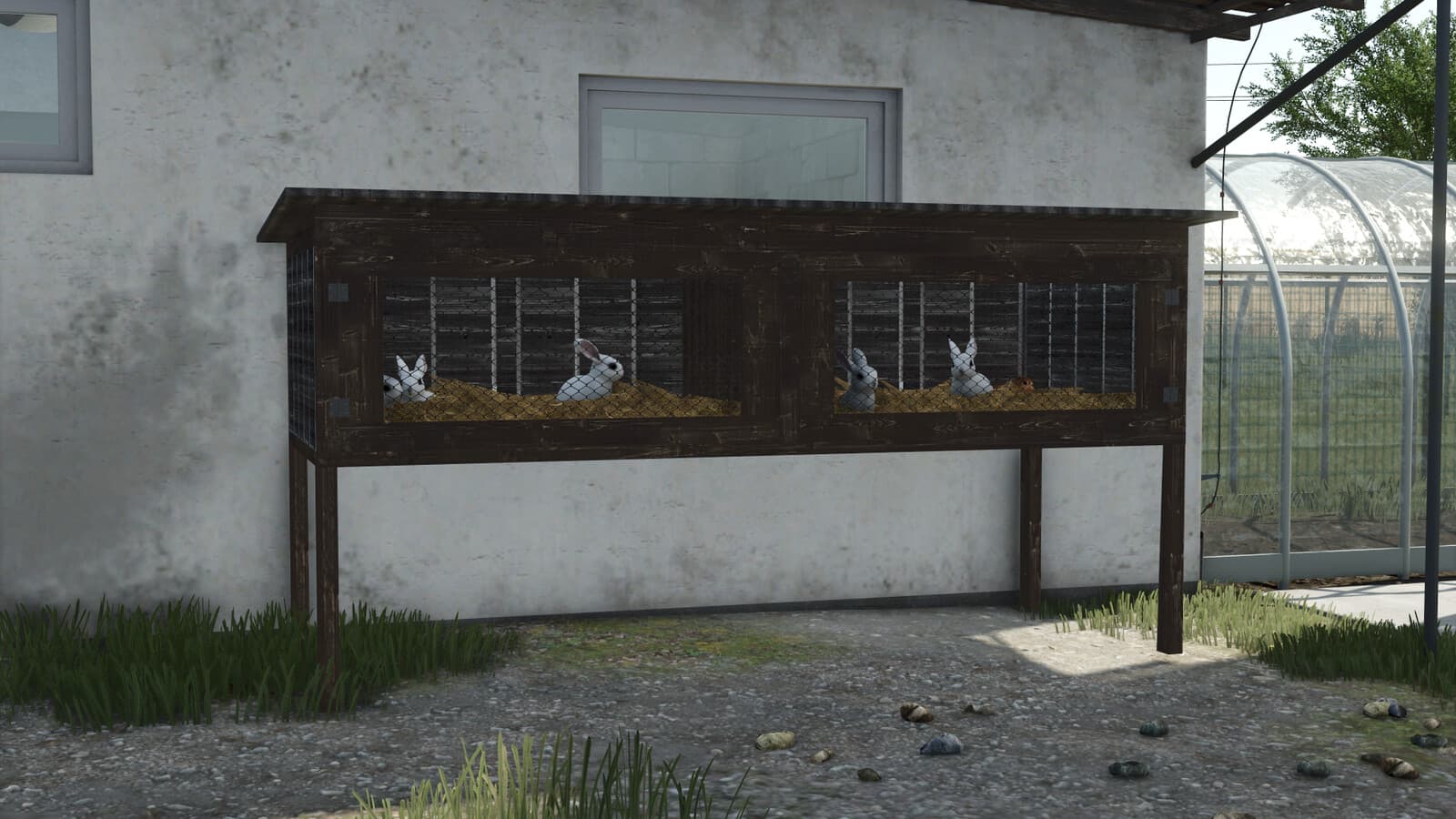 Rabbit Cages 4