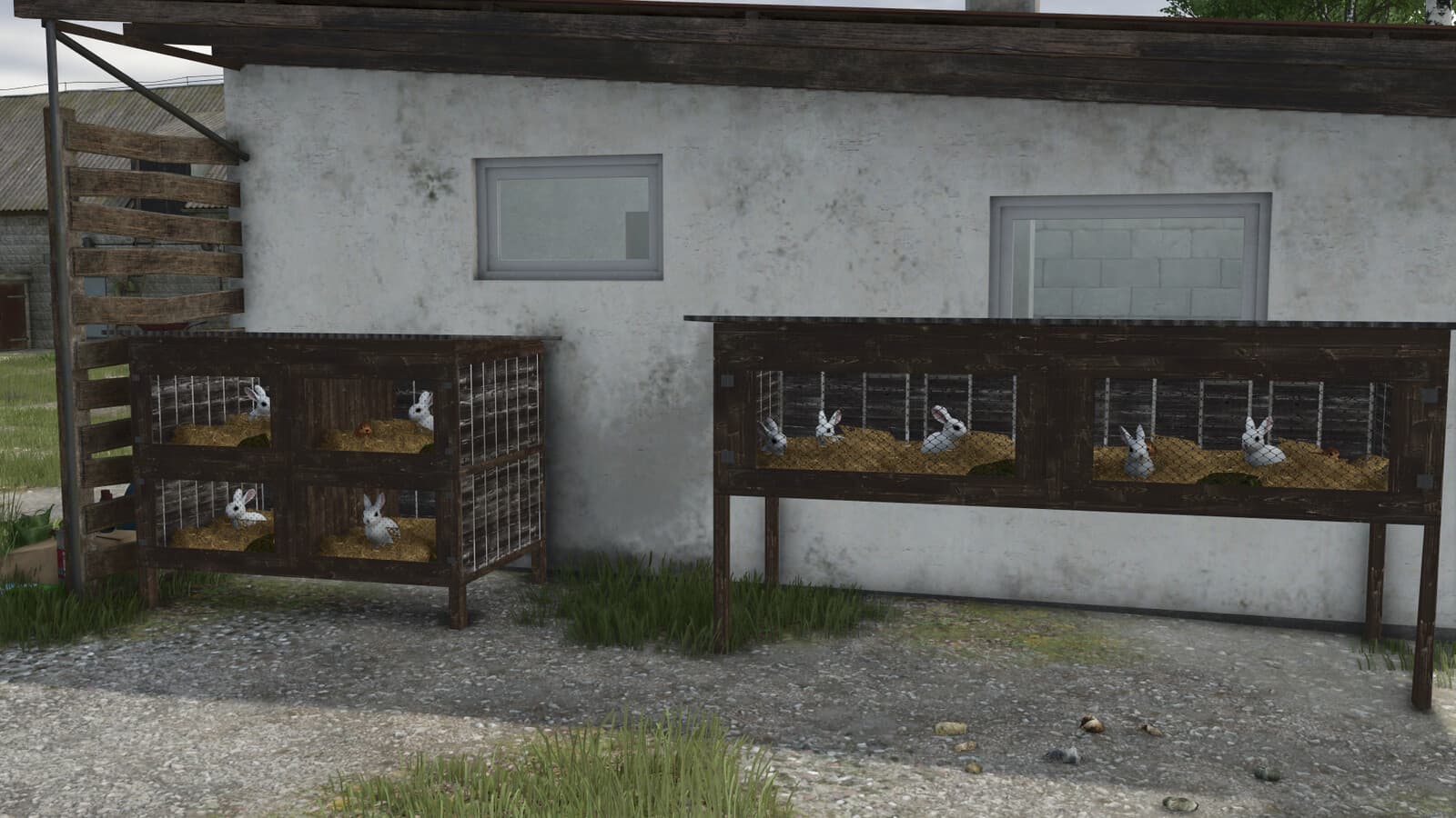 Rabbit Cages 3