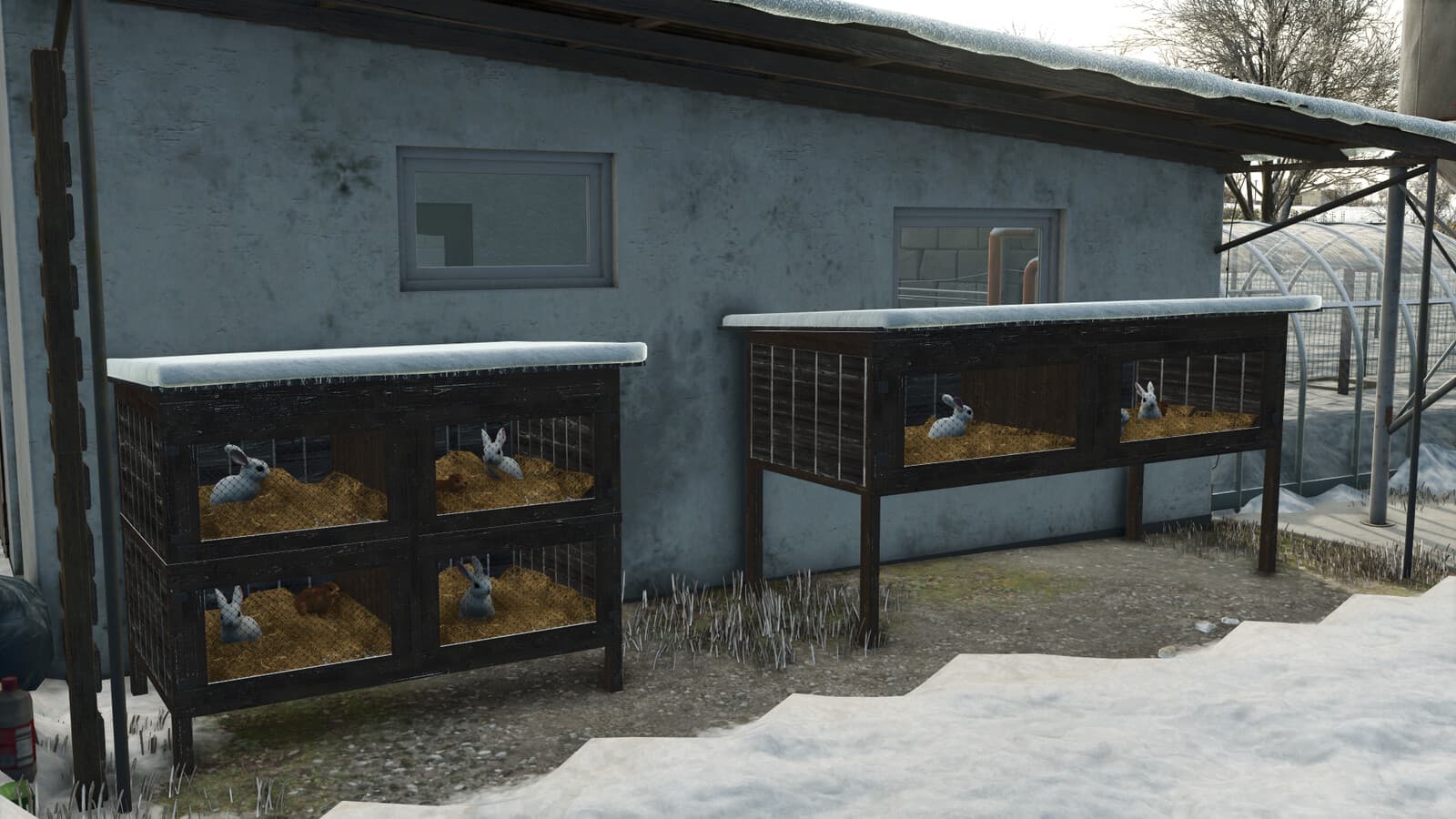 Rabbit Cages 2