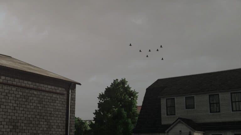 Real Sky