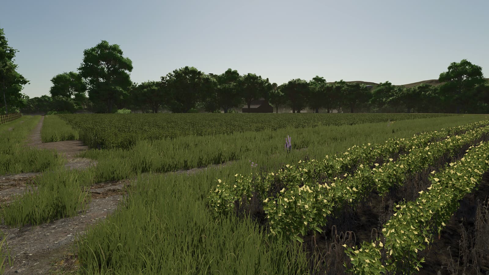 Repopulate Fields
