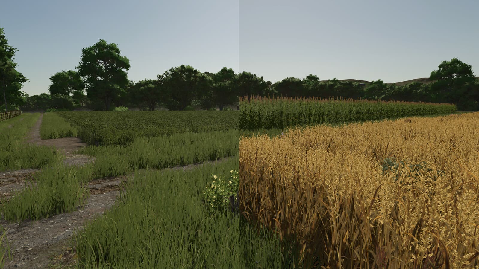 Repopulate Fields 4