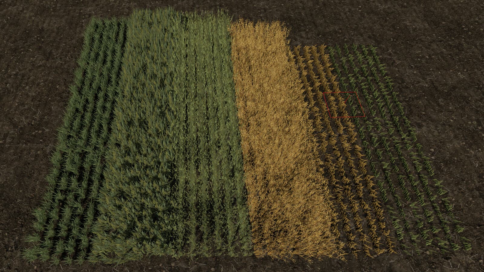 Row Seeding Barley, Oat, Wheat, Canola (Prefab*) 6