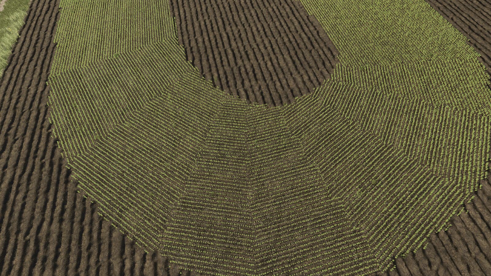 Row Seeding Barley, Oat, Wheat, Canola (Prefab*) 5