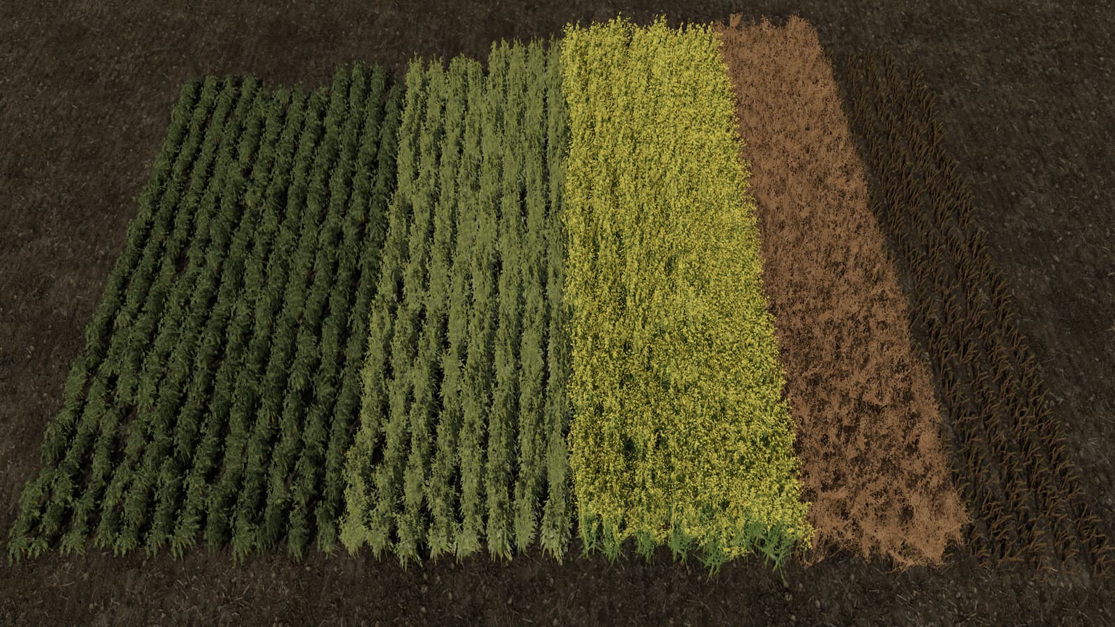 Row Seeding Barley, Oat, Wheat, Canola (Prefab*) 3