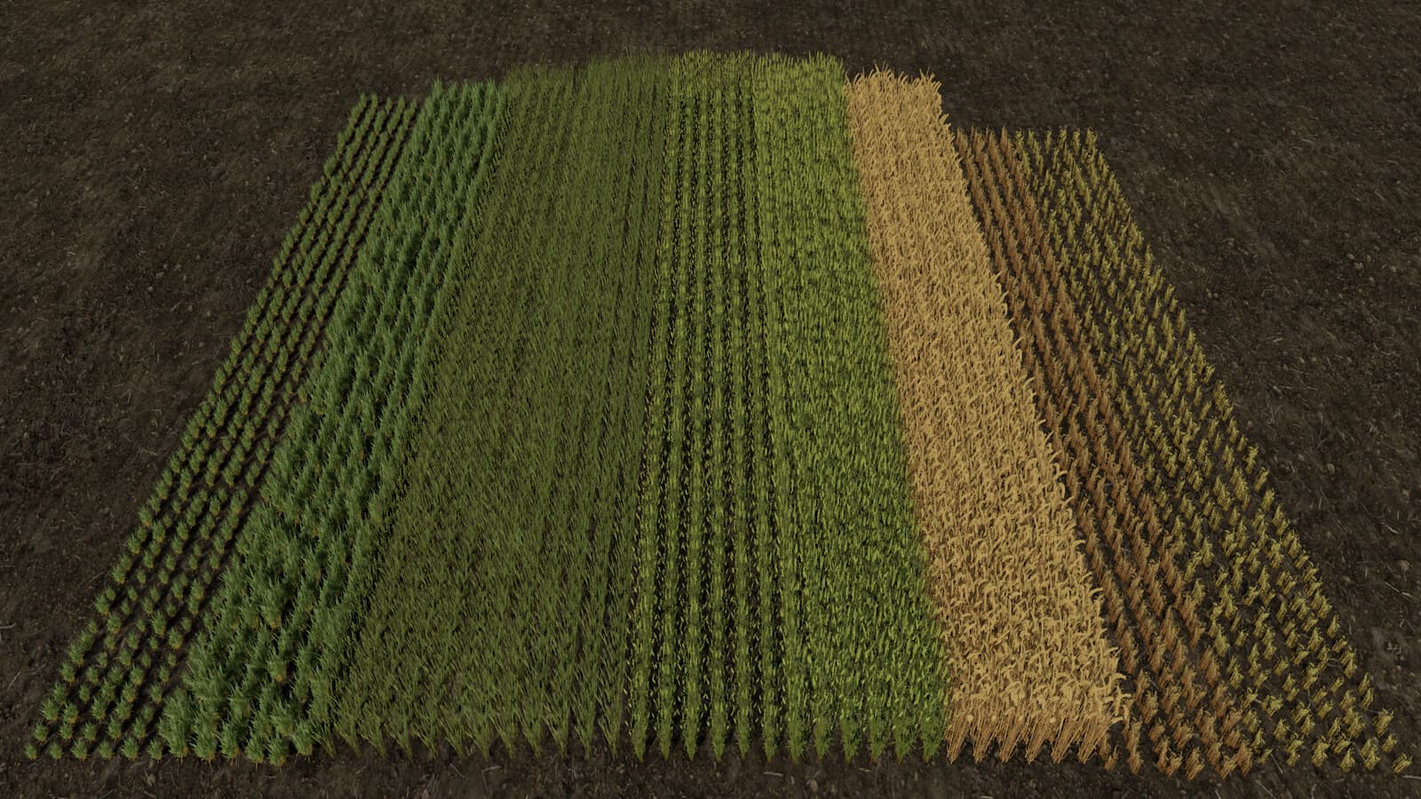 Row Seeding Barley, Oat, Wheat, Canola (Prefab*) 2
