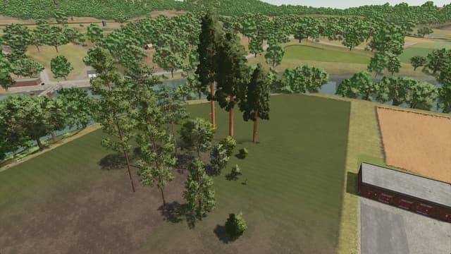 Silverrun Trees