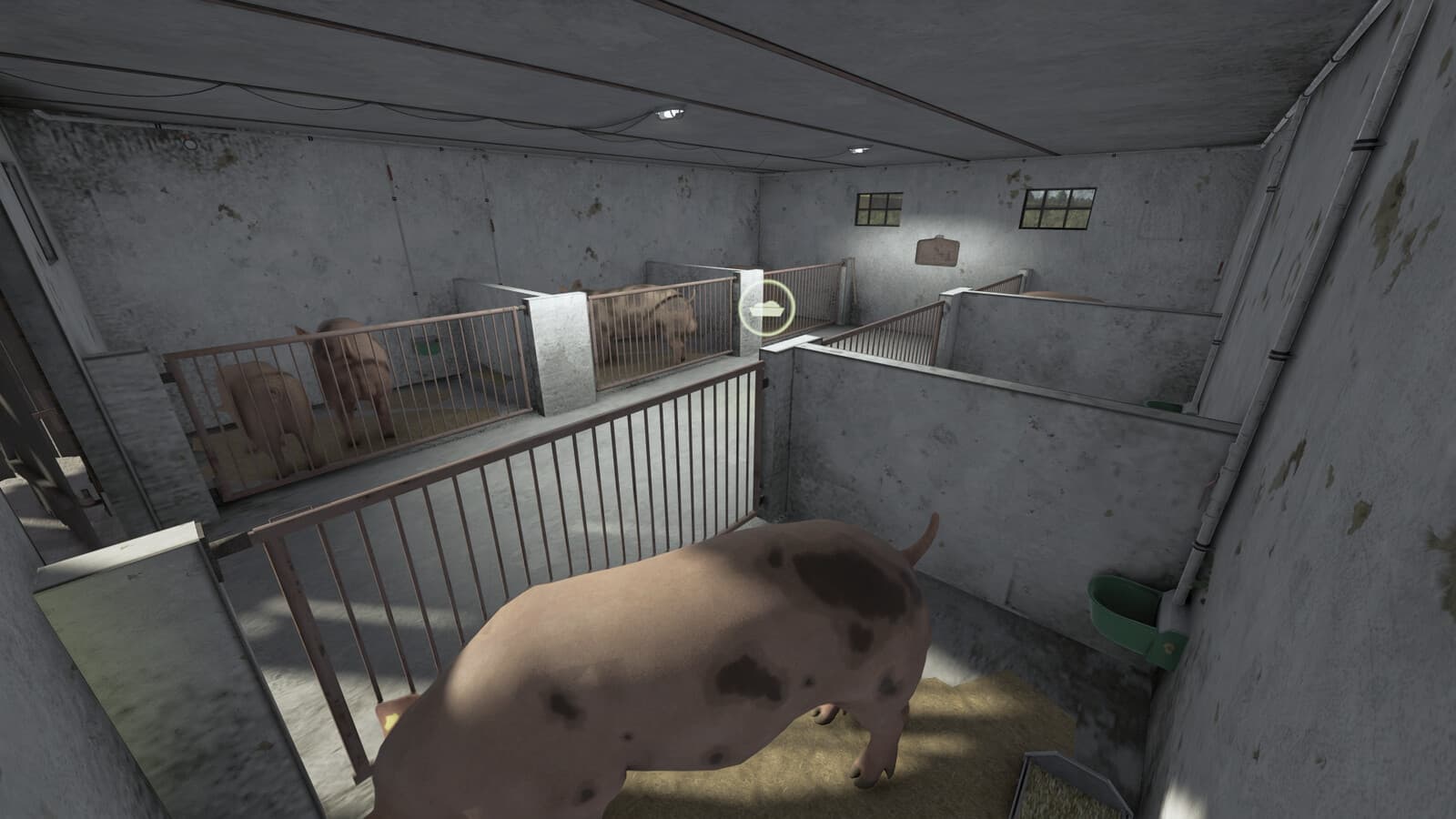 Small Pigsty With Barn 3