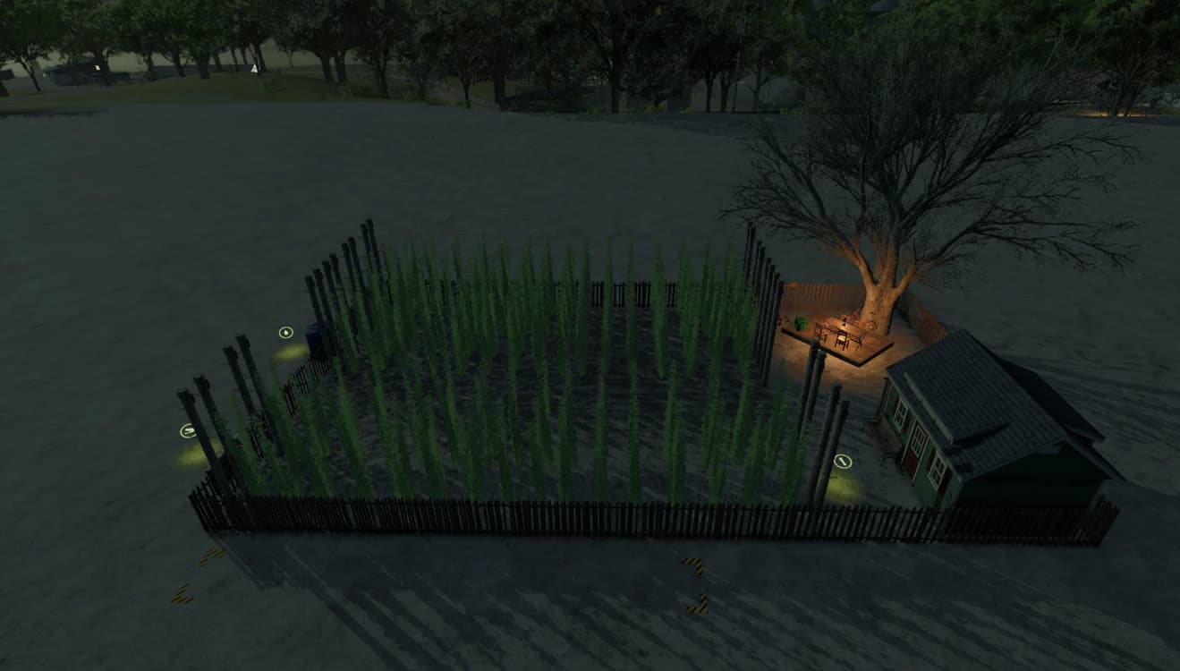 Small hop plantation 2
