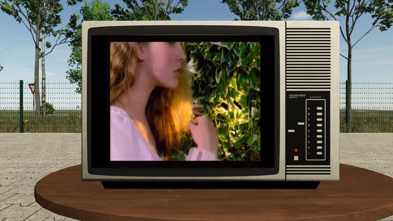Television