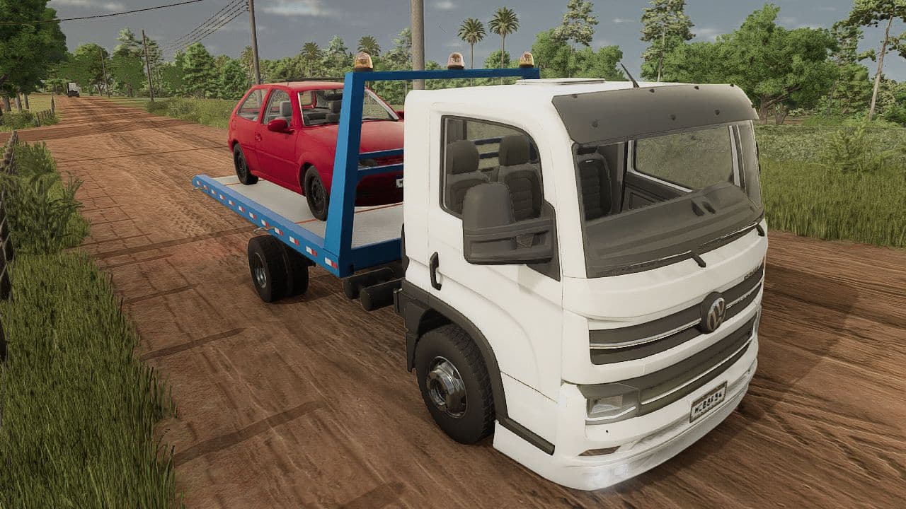 Volkswagen Delivery 4