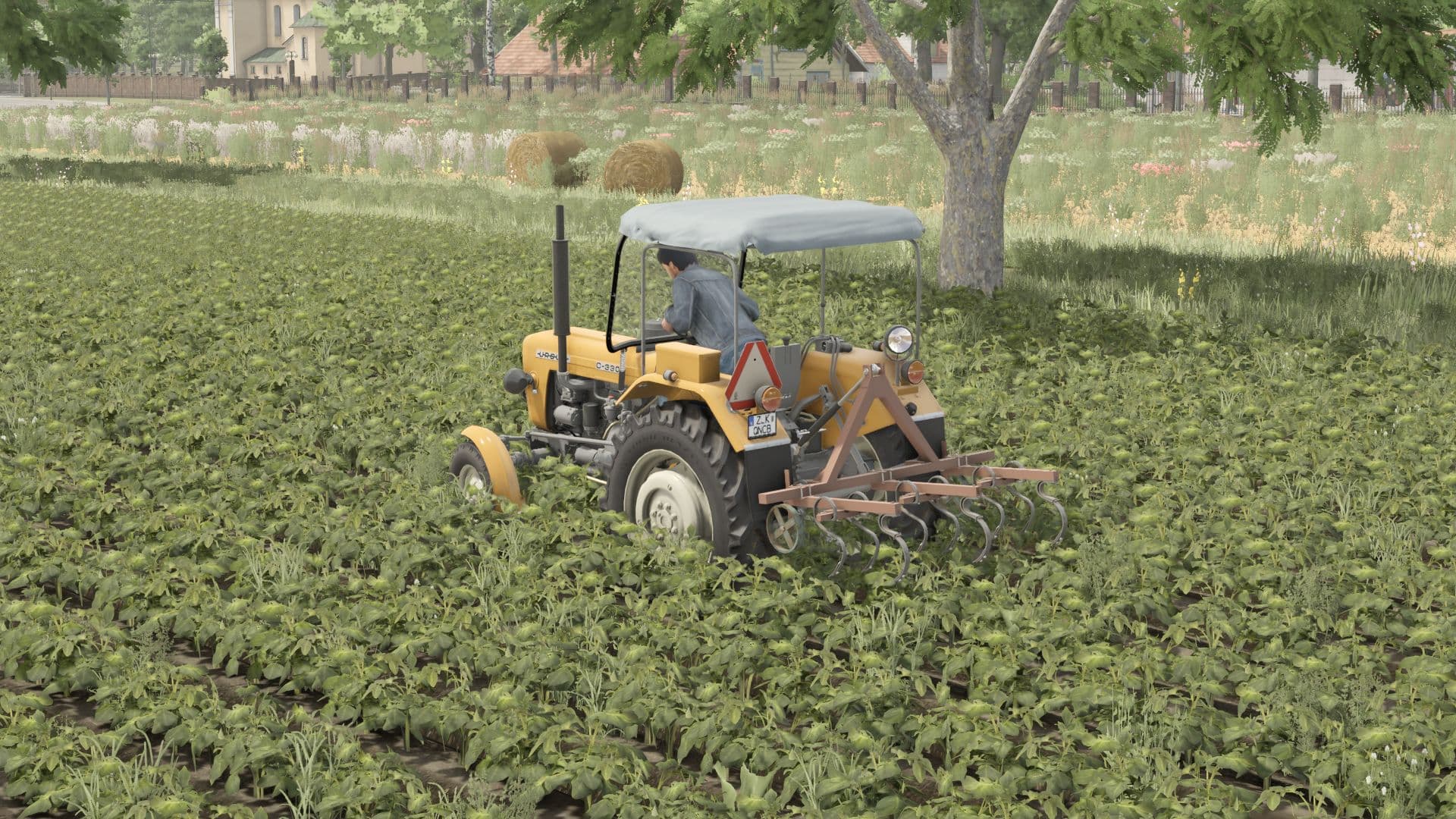 Weeder 4