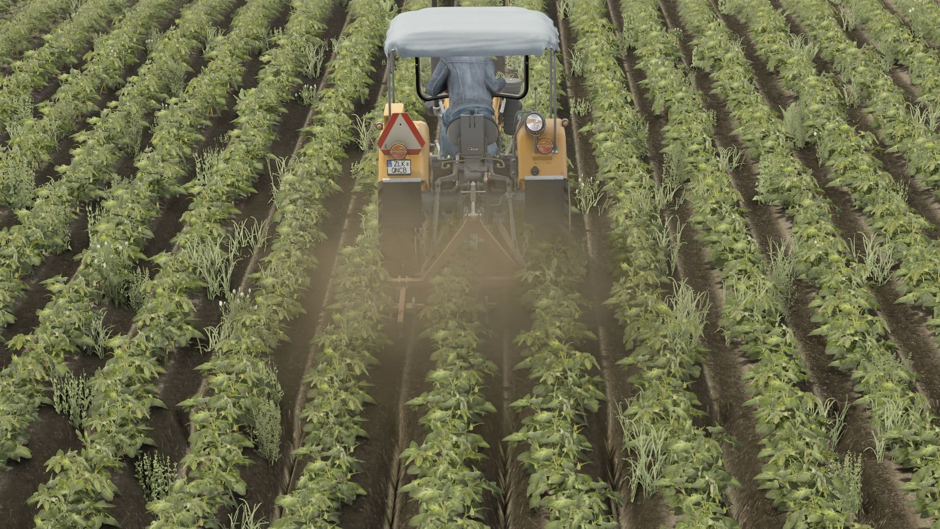 Weeder 3