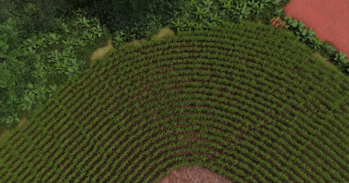 Agrosul rowcrop 4x 5