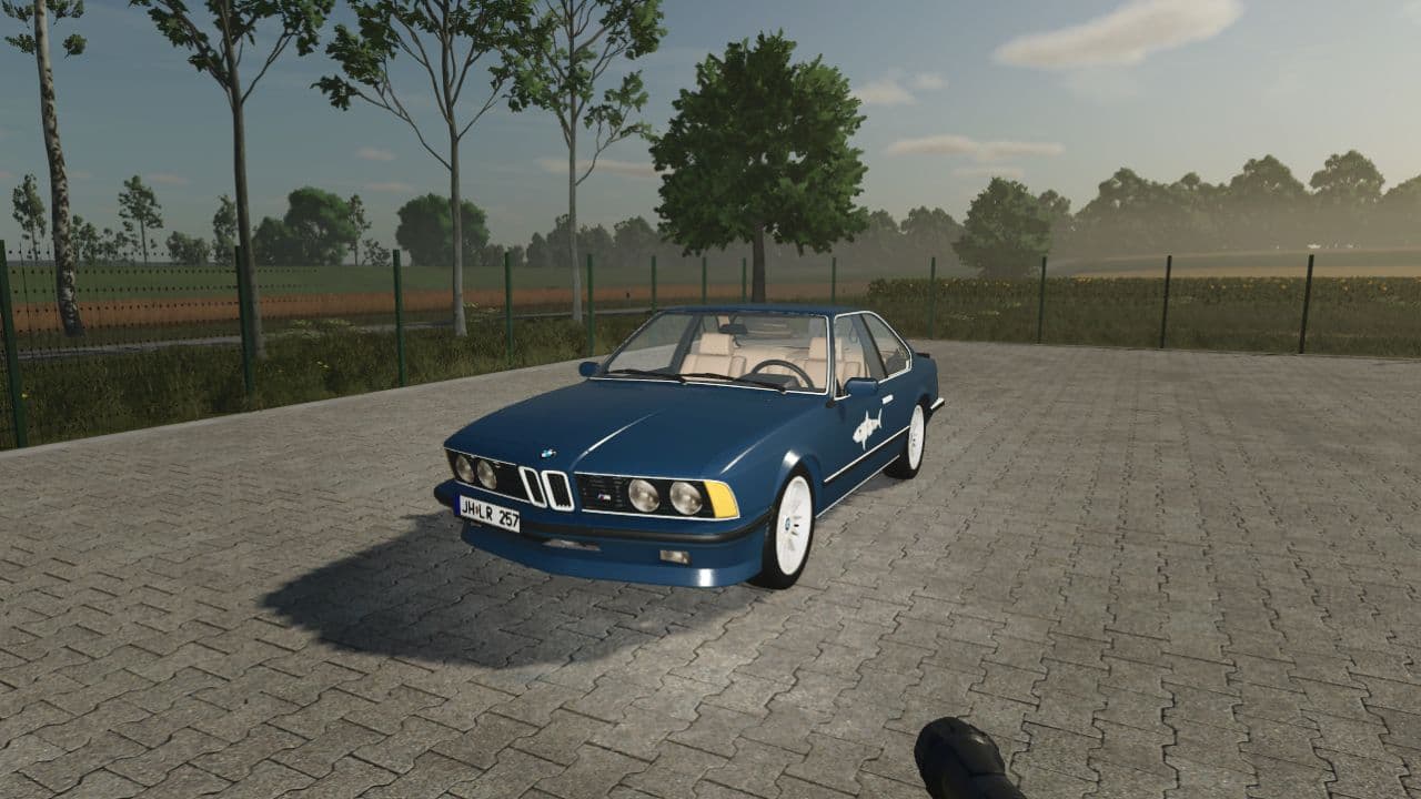 BMW E24 Shark 2