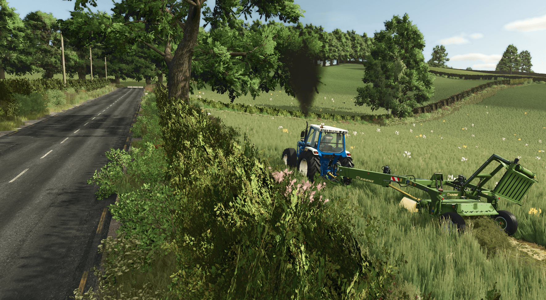 BallySpring 6