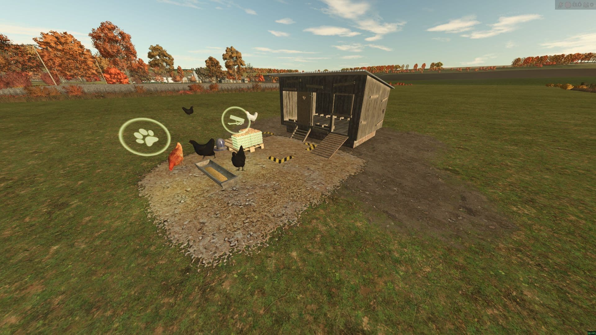 Chicken coop 3