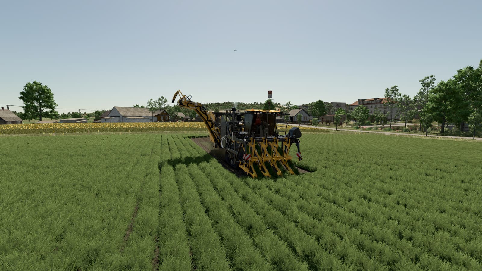 Dewulf Vegetable Harvester 6