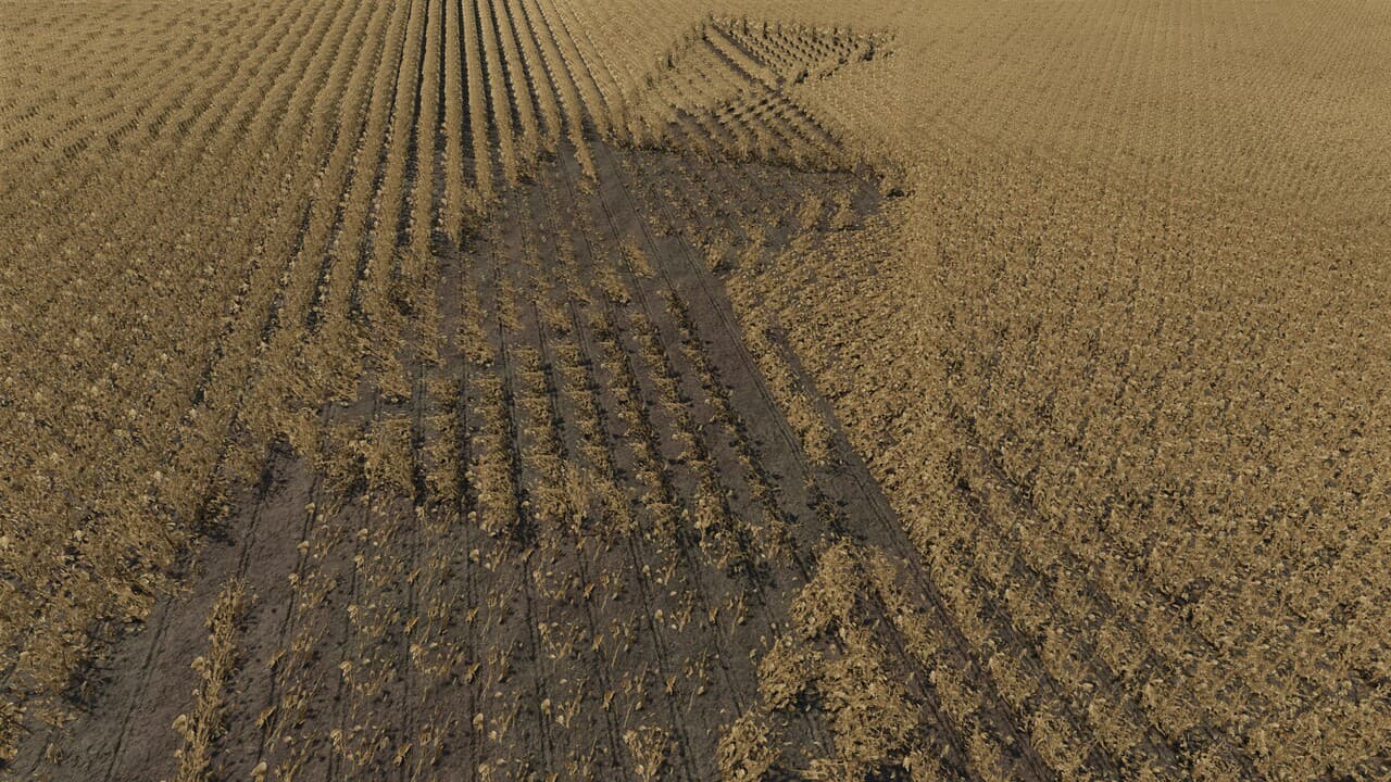 Down Crops & Grain Economy