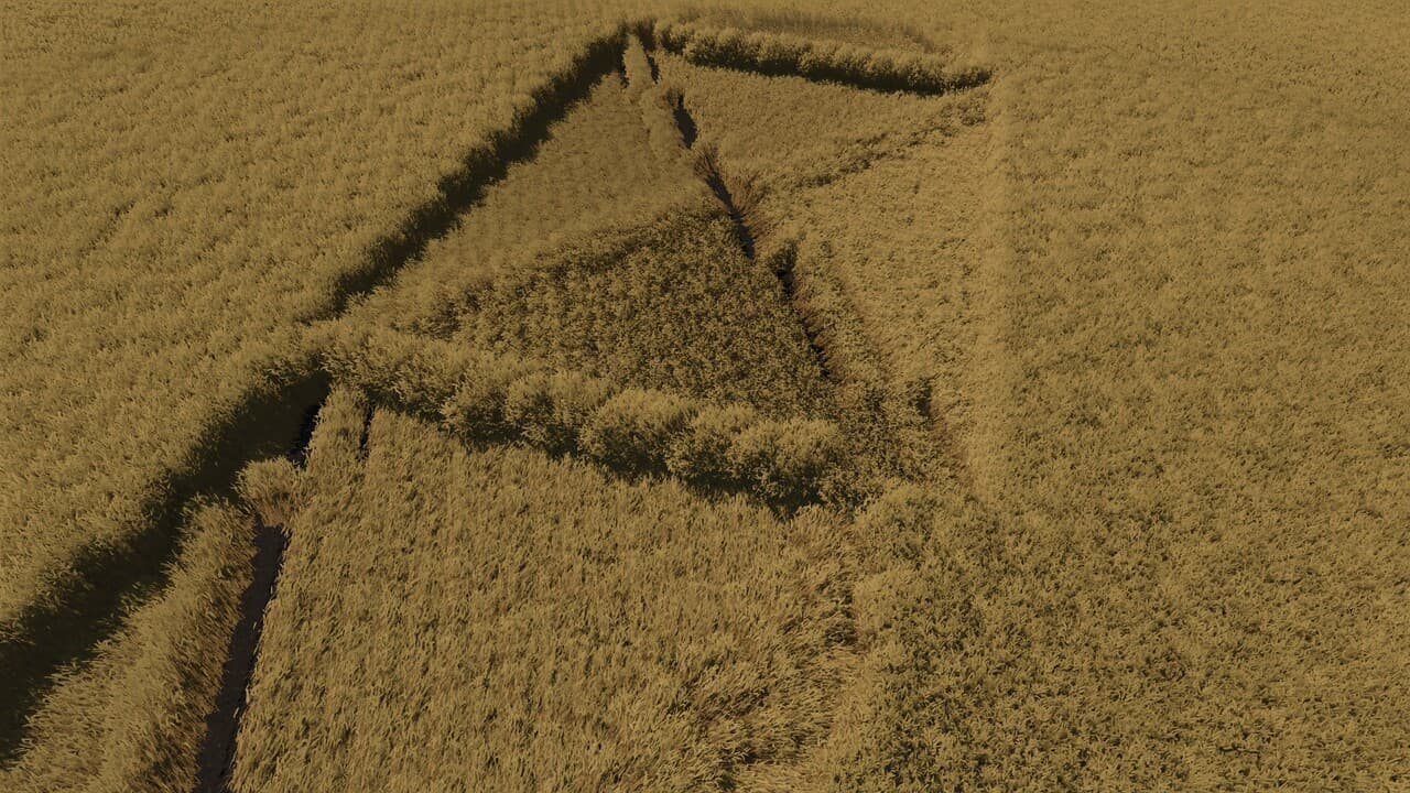 Down Crops & Grain Economy 6