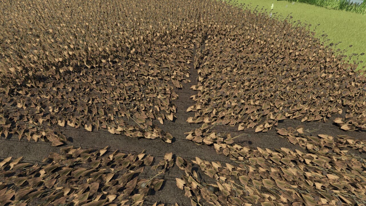 Down Crops & Grain Economy 5