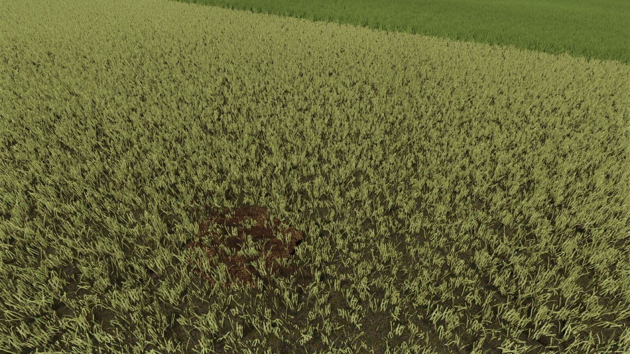 Dynamic molehills 4