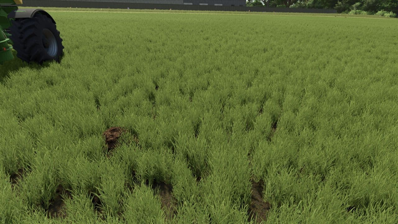 Dynamic molehills 3