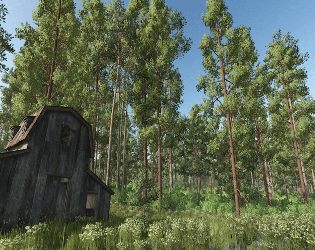 Forest Converter 6