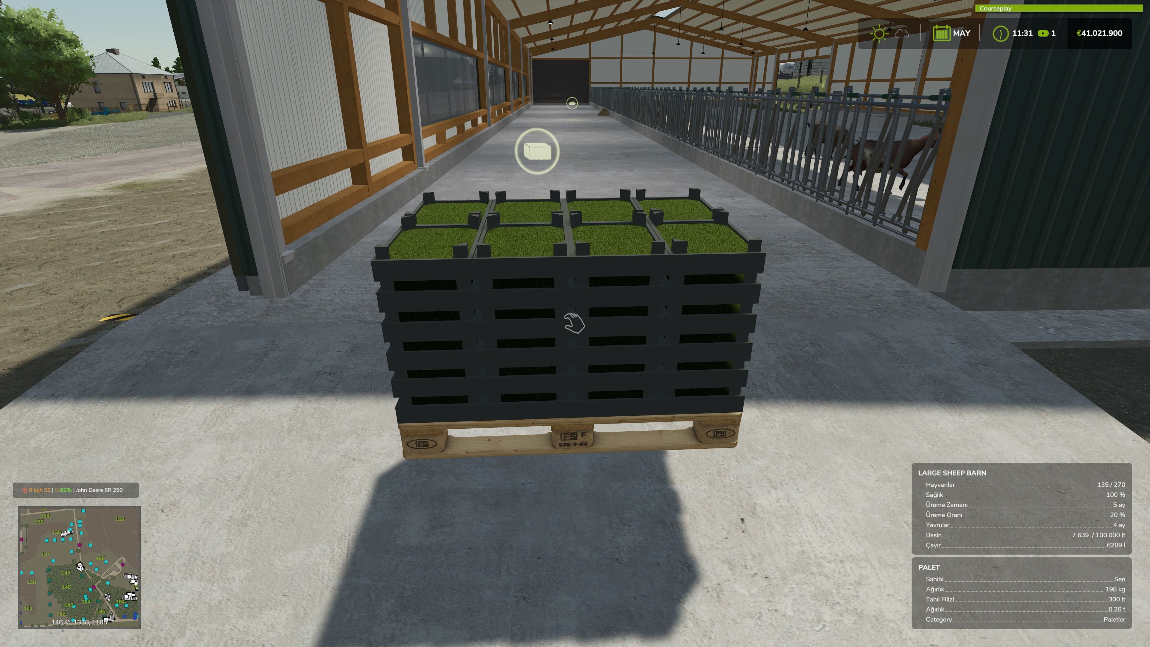 Grain Sprouts 4