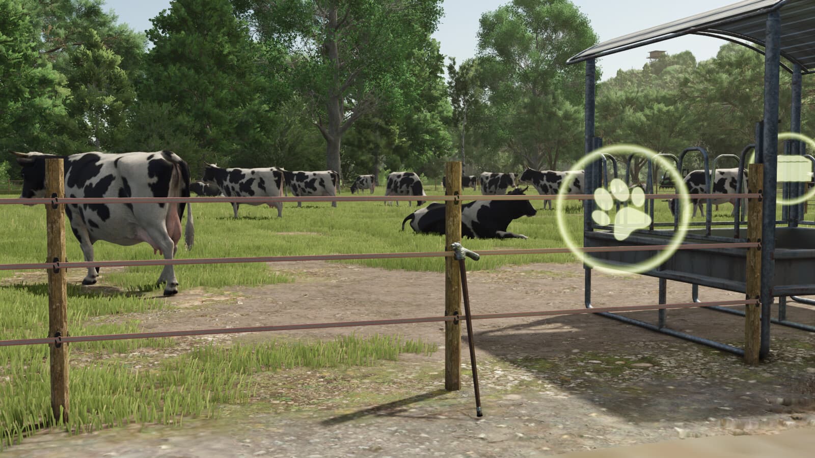 Herdsman's Stick 3
