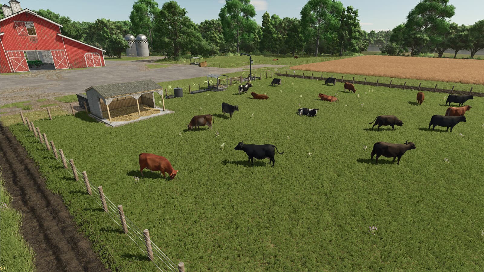 High Capacity Cow Pasture 5