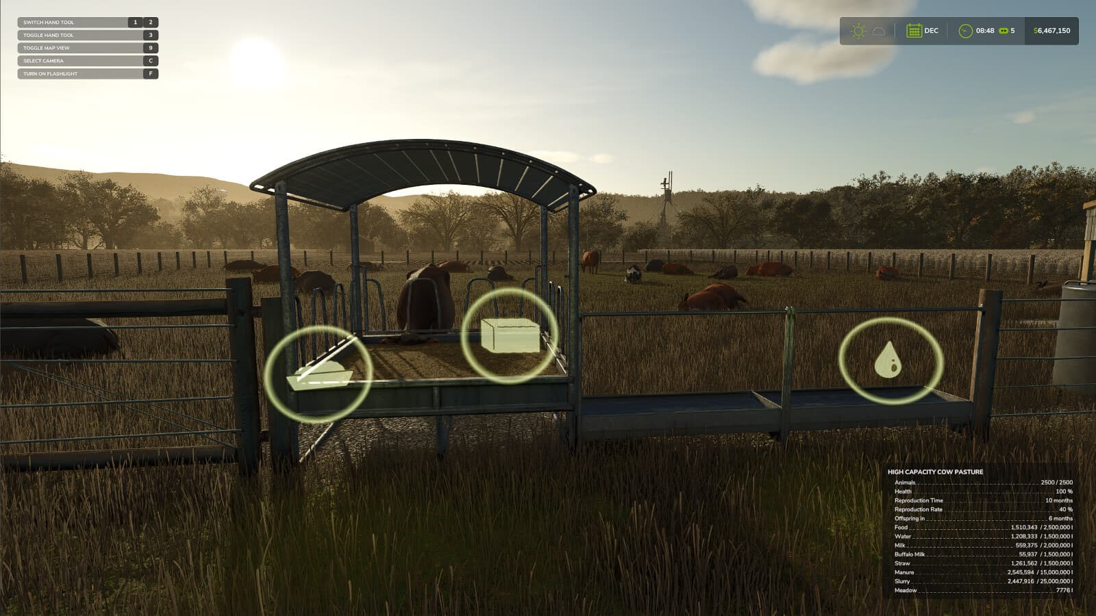 High Capacity Cow Pasture 4