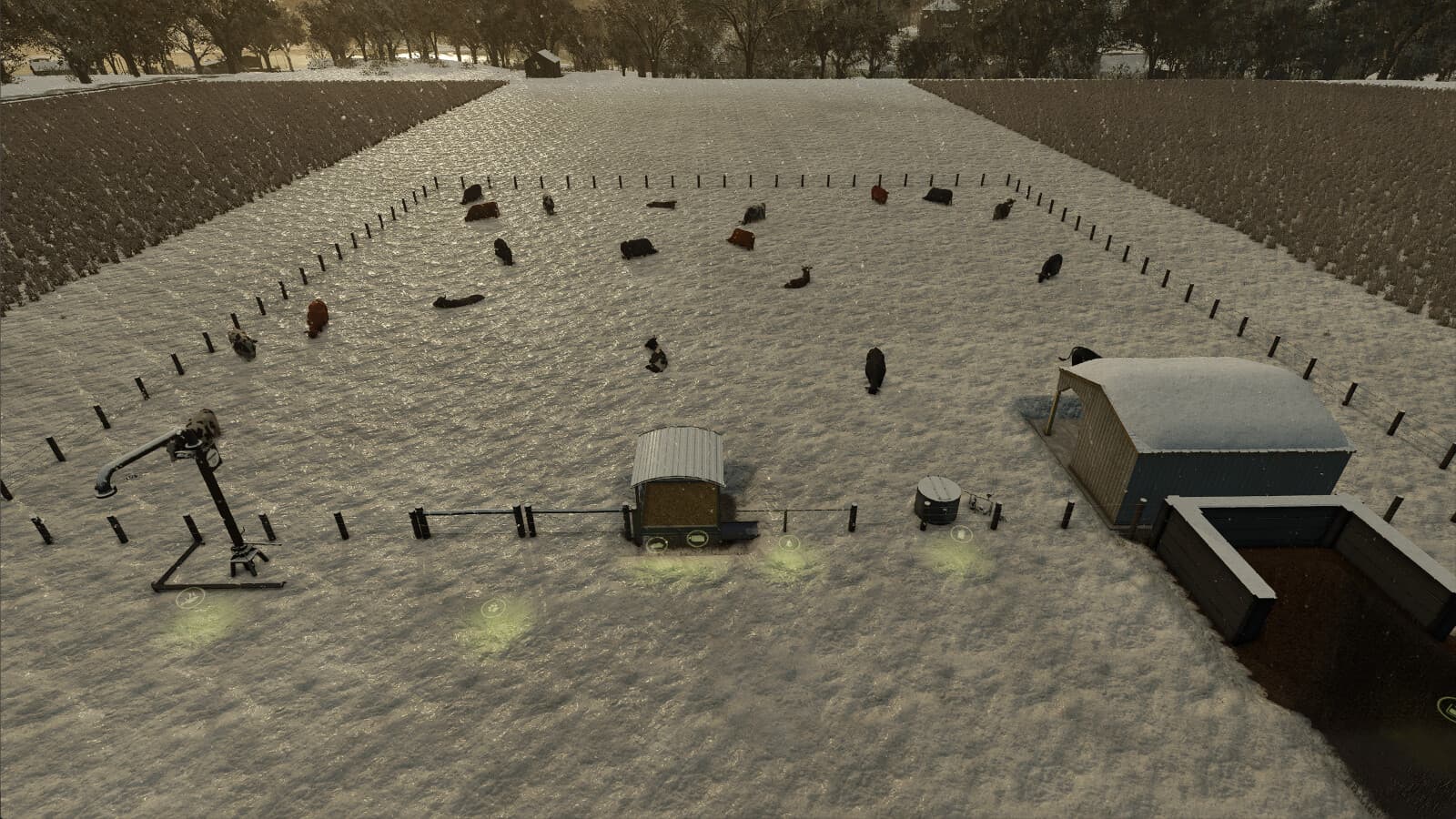 High Capacity Cow Pasture 3