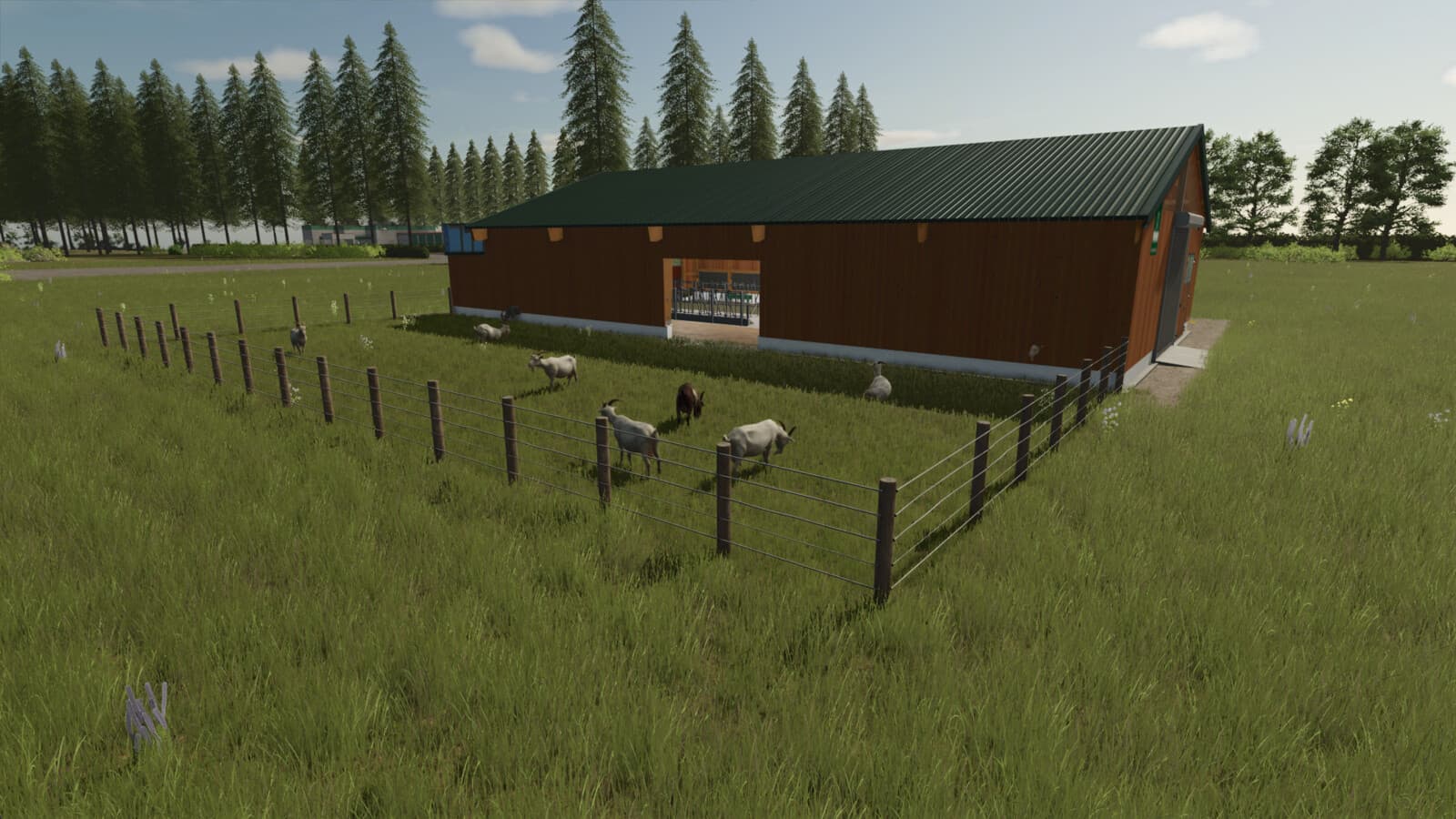 Hoermann Goat Shed 3
