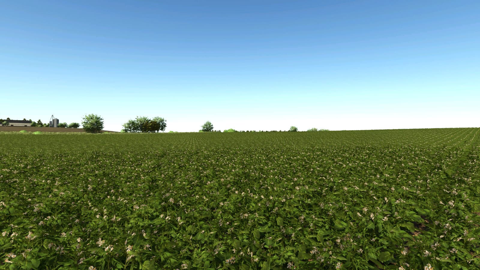 Idaho Tater Land 5