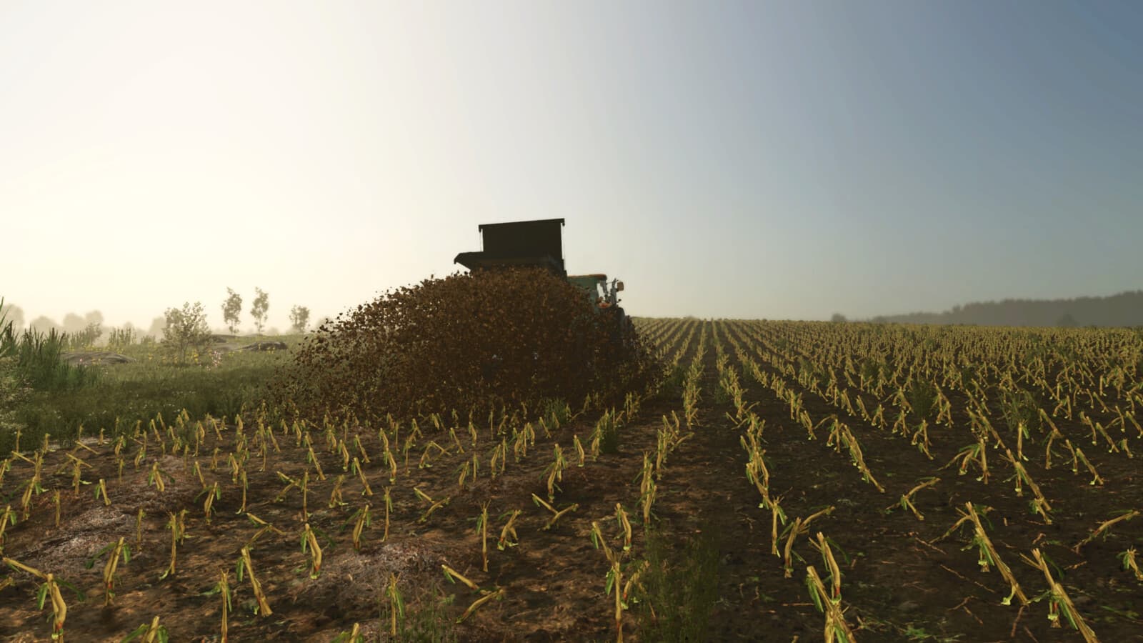 Manure Ground 2