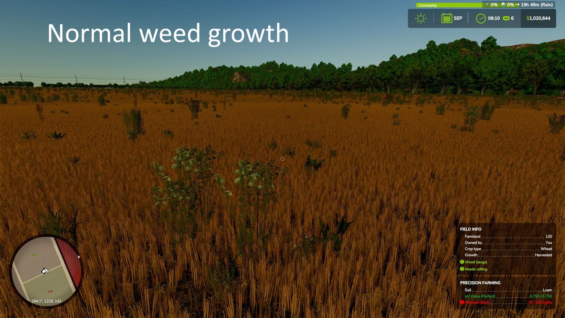 No Winter Weeds 2
